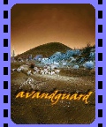 Featured Artist: avandguard